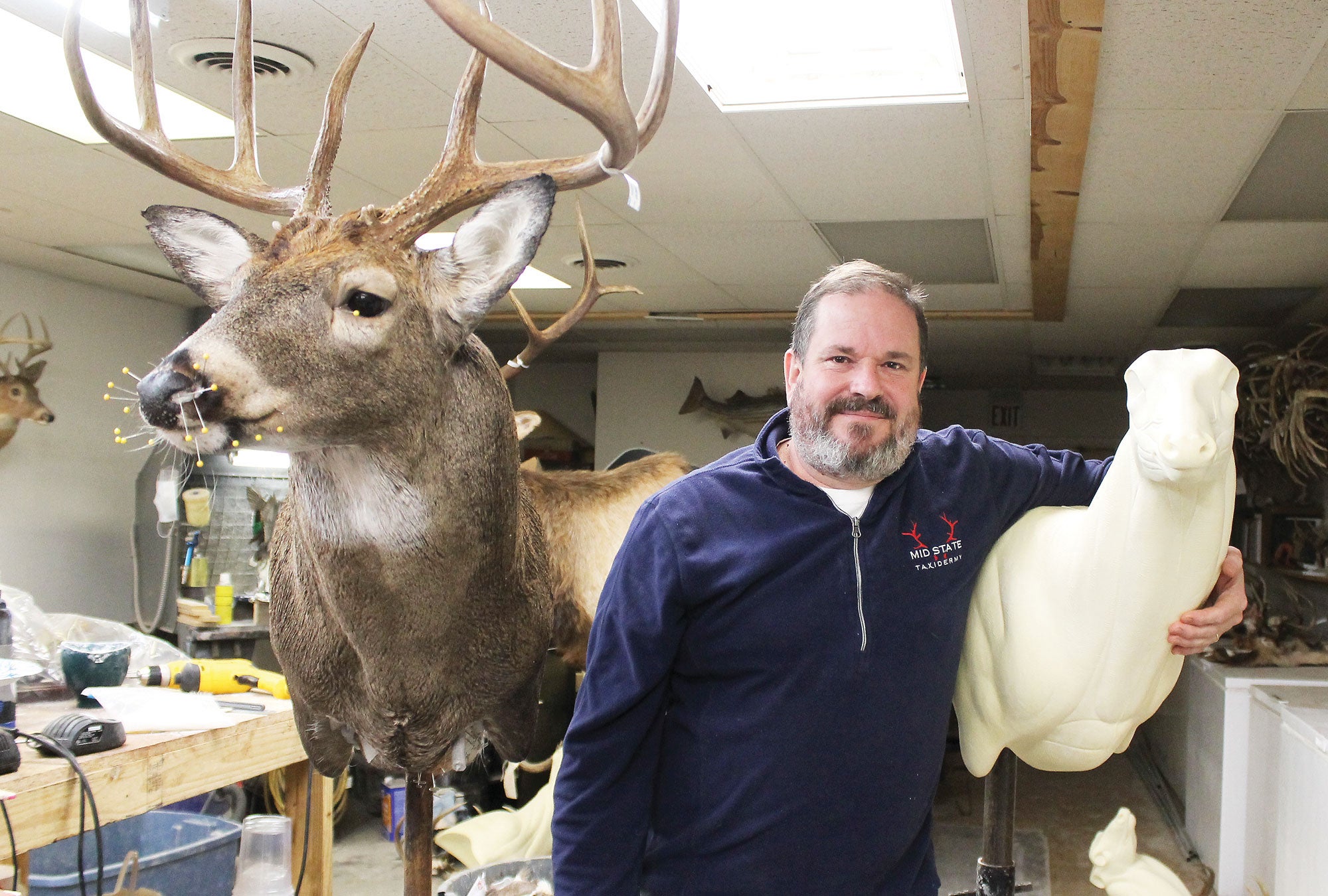Not just stuffing animals: Cheak says Good taxidermy about respecting animal  - Winchester Sun | Winchester Sun