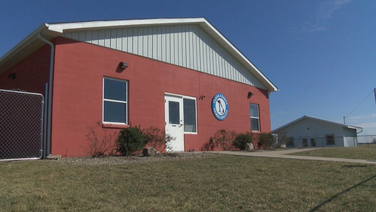 Towel drive underway for animal shelter Winchester Sun Winchester Sun