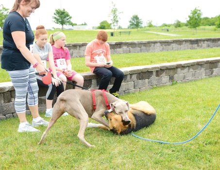 Running for the ‘paws’ Hundreds participate in annual 5K to benefit
