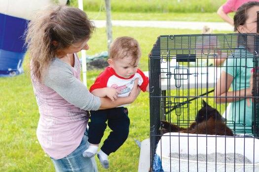 Running for the ‘paws’ Hundreds participate in annual 5K to benefit