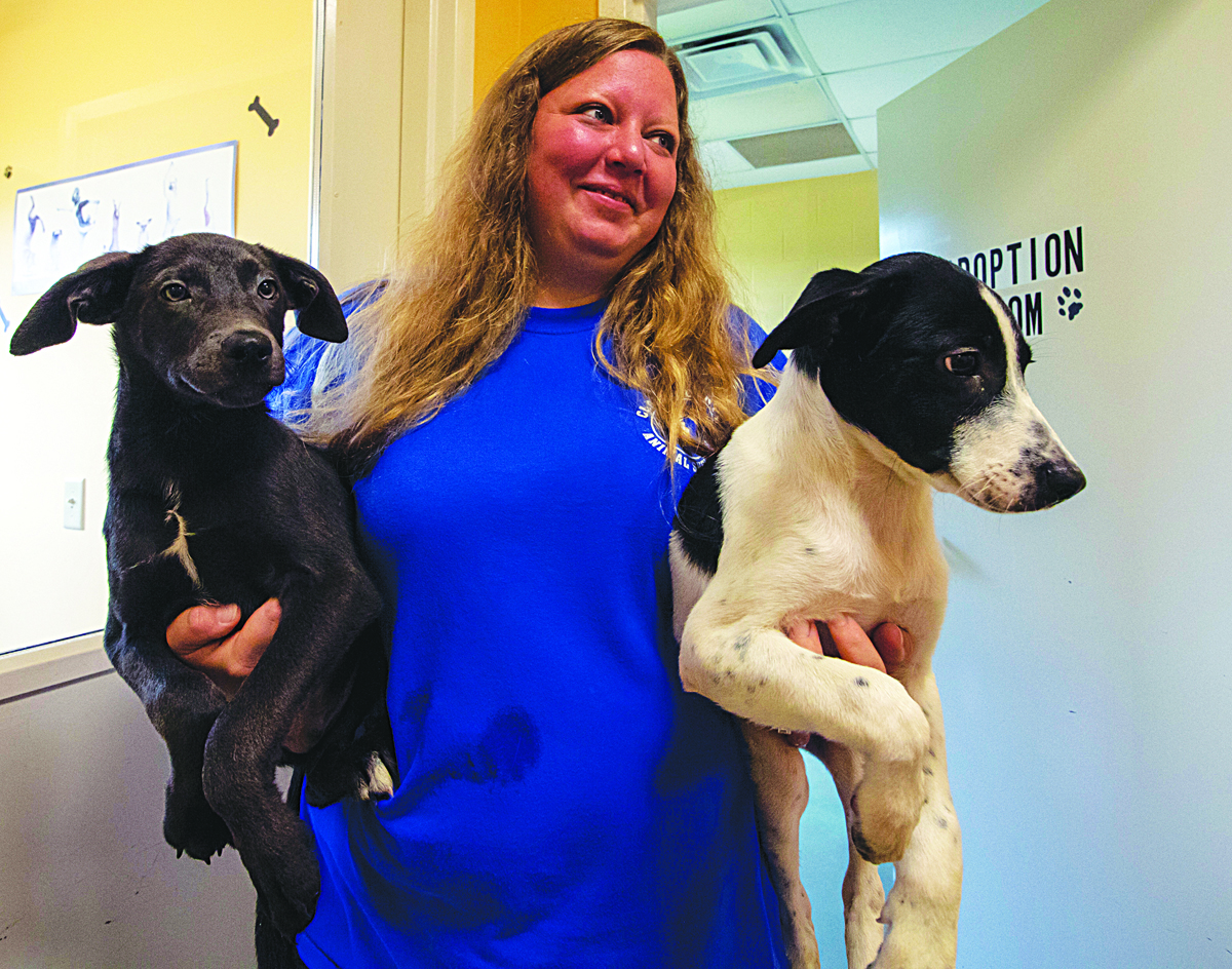 'We care' Shelter works to keep animals and community safe, healthy