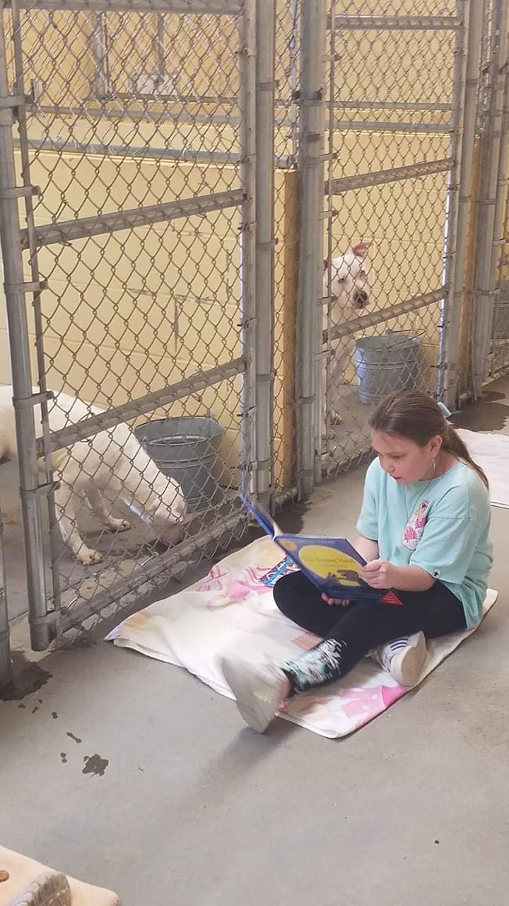 Reading goes to the dogs at shelter Winchester Sun Winchester Sun